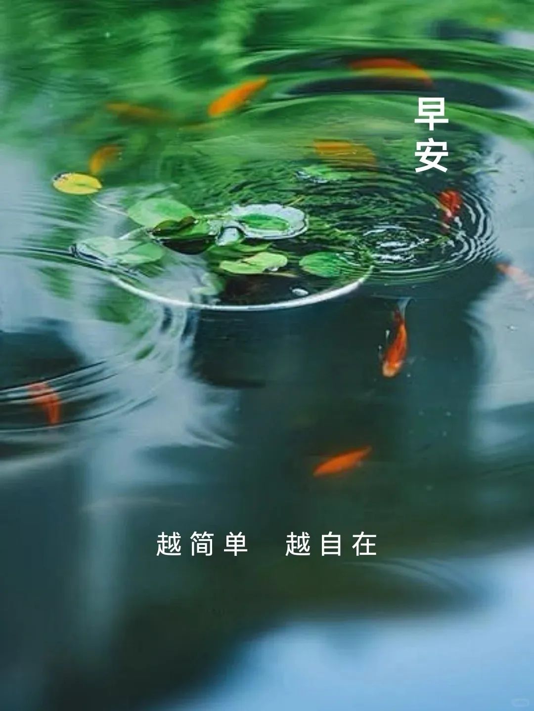 早安祝福语图片,早上用微笑开启美好生活!