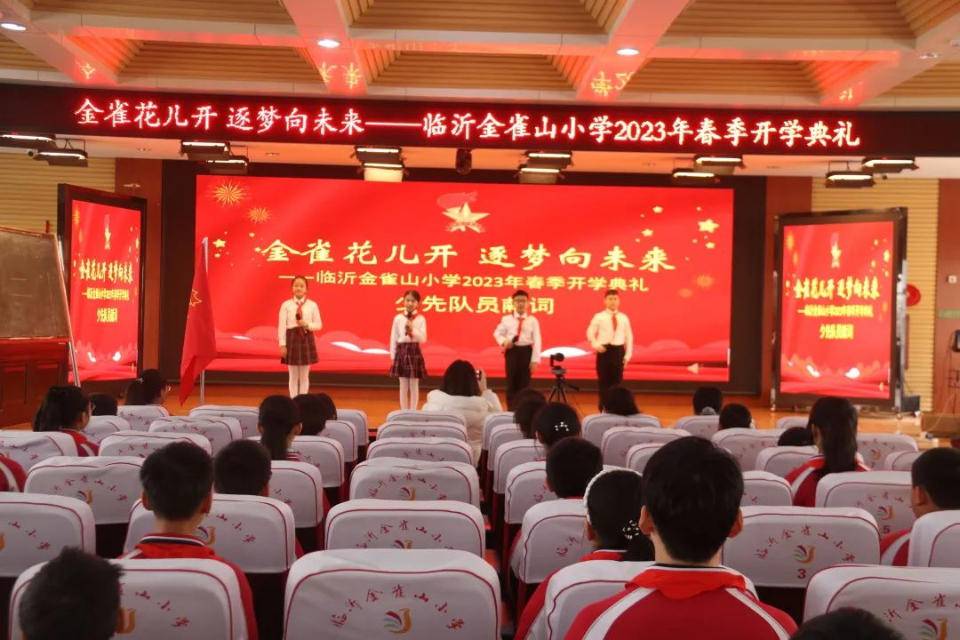 临沂金雀山小学2013图片