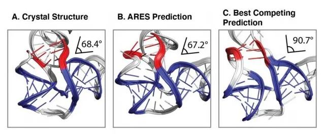 斯坦福团队AI算法精准预测RNA三维结构，论文为Science当期封面