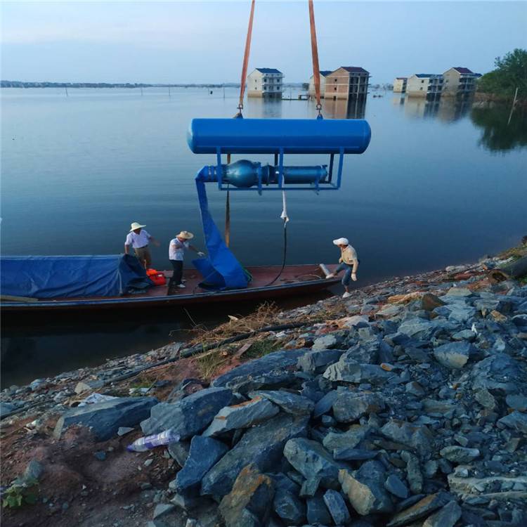 大流量浮筒式潜水泵 qjf型浮筒式深井泵 可定制浮筒 水库取水 卧用型