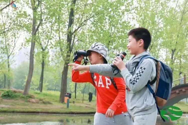 魔都10后女孩,跟鸟较上了劲