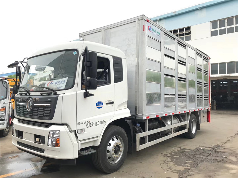 仔猪- 热门商品专区