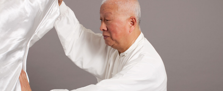 付清泉杨氏85式太极拳带口令式