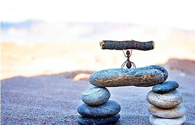 请输入图片描述