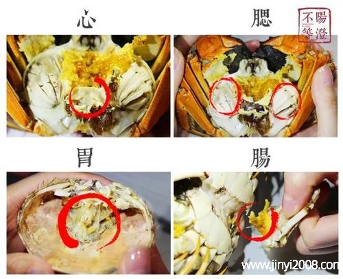 吃螃蟹不可以吃什么食物(螃蟹每天吃几只不伤身体)