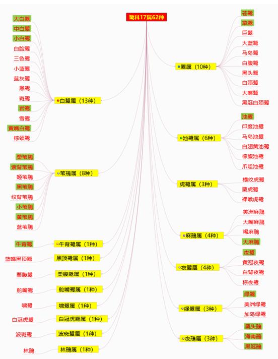 东江揽胜：天天相见不相识，和我一起认识鹭科鸟的分类与识别方法