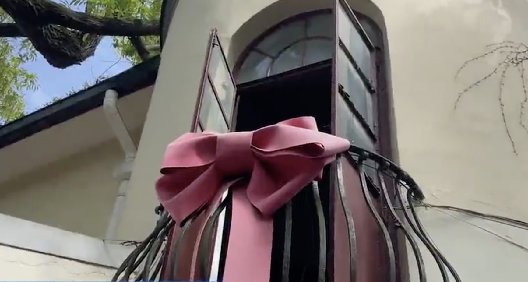 翘班也要打卡?蝴蝶结阳台刷屏,80岁奶奶已被接走