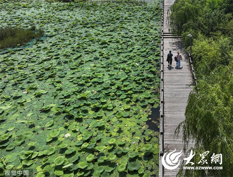 微山湖湿地公园一日游图片