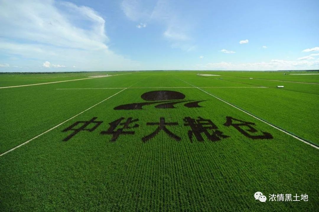 开国将军,兵团副司令颜文斌回访北大荒