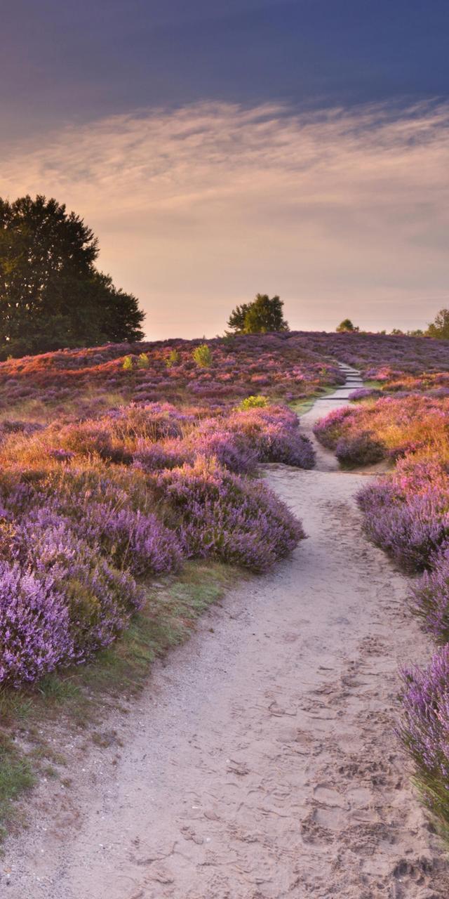 竖屏手机壁纸:绝美的风景,一定能配上你的手机