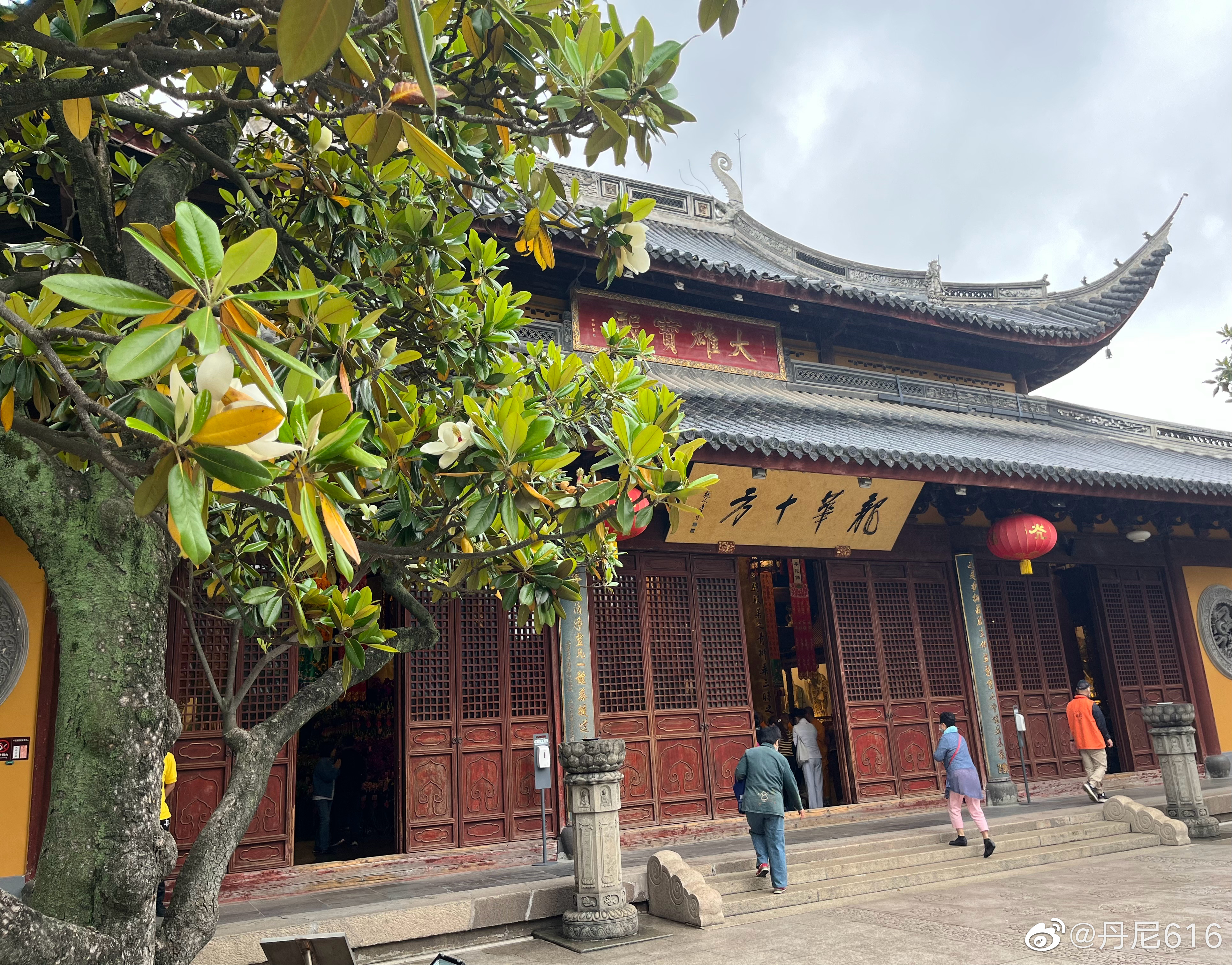 今天是农历四月初一～佛欢喜的日子～诸事顺遂～祈福安康……7315