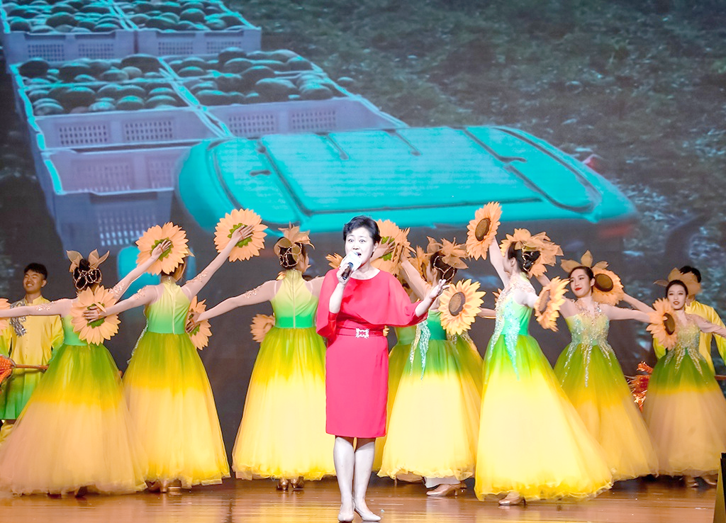 海淀区农民艺术节:乡村文化的大舞台