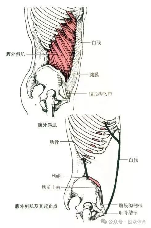 健身教练职业能力培训