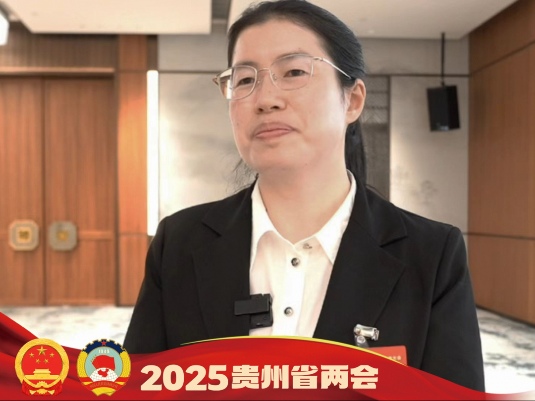 杨燕代表:全力推进林泉社区基层治理现代化