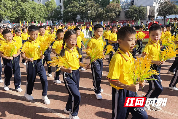 白鹤小学株洲图片