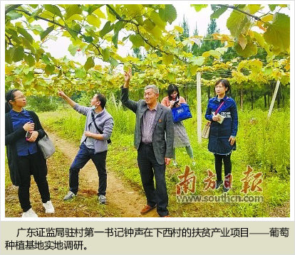 细雨滋田万户春