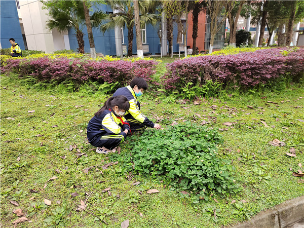 成都师范学院附属实验学校学子在校园寻宝,拼凑出春天