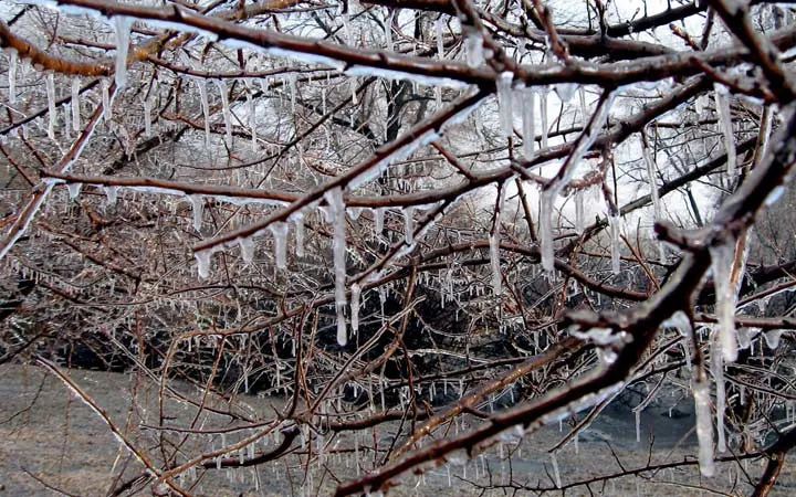 雨夹雪63冻雨63中雪63大雪轮番上阵湖南预警