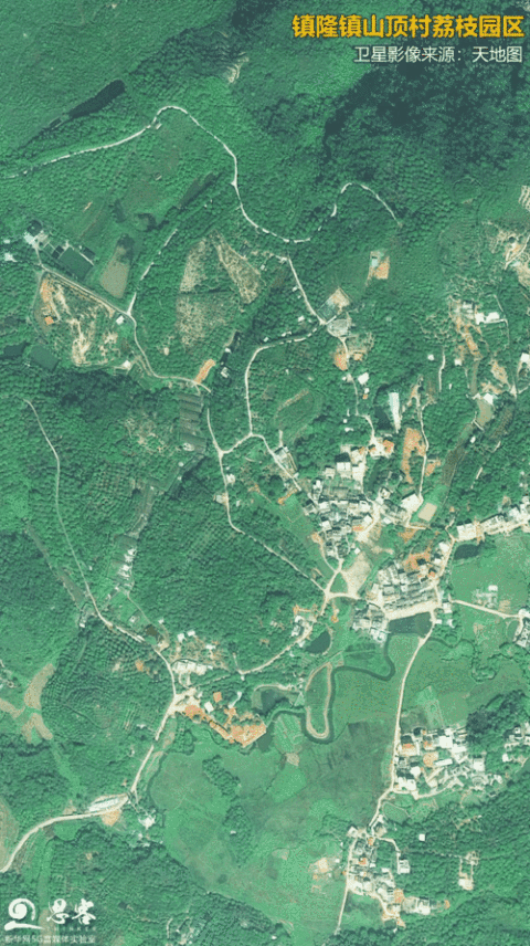 镇隆镇山顶村荔枝产业园卫星影像来源:天地图