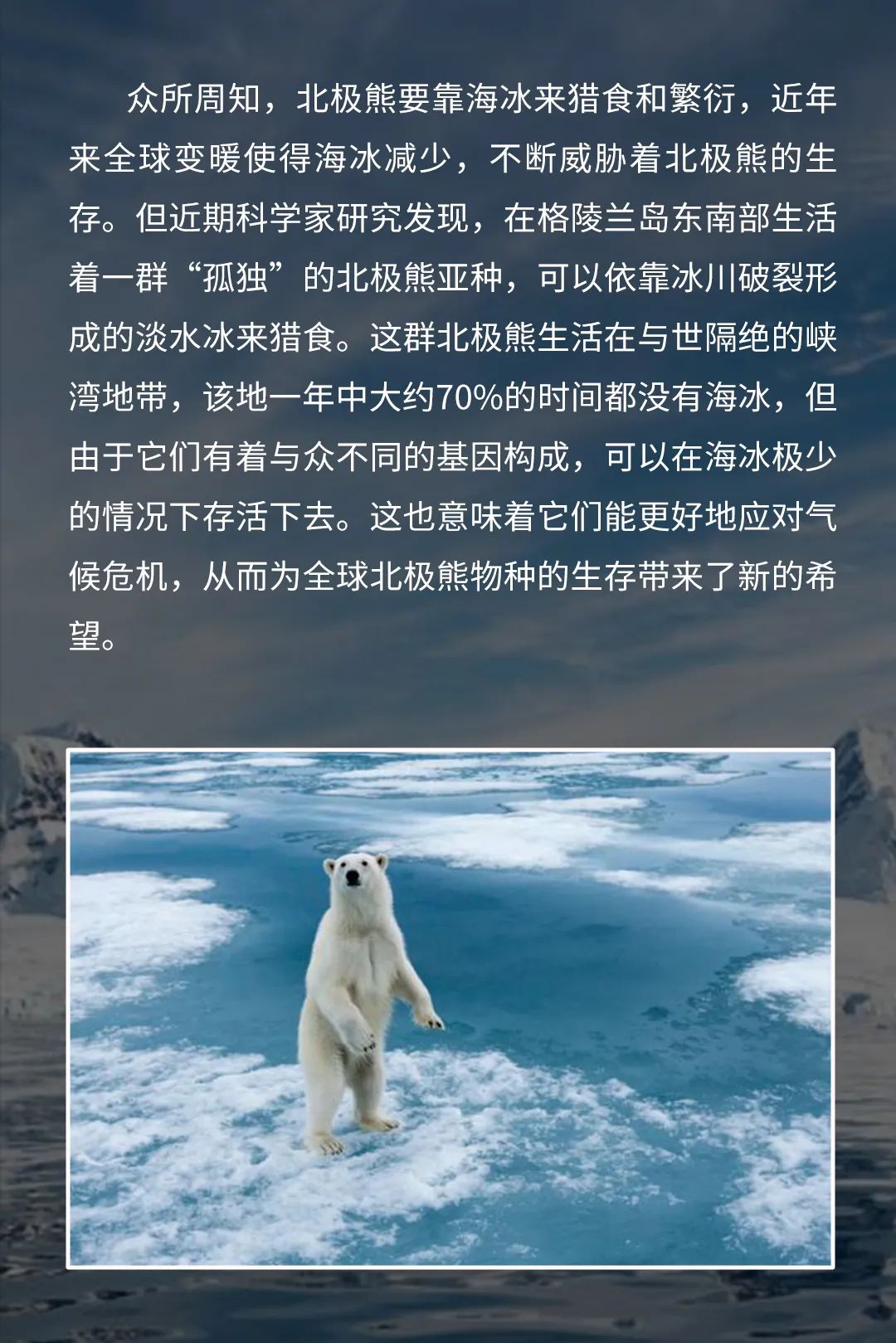 dnews | 格陵兰岛发现"最孤独"的北极熊