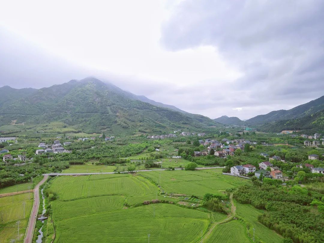 零东线:余杭未来乡村的"阳关道"