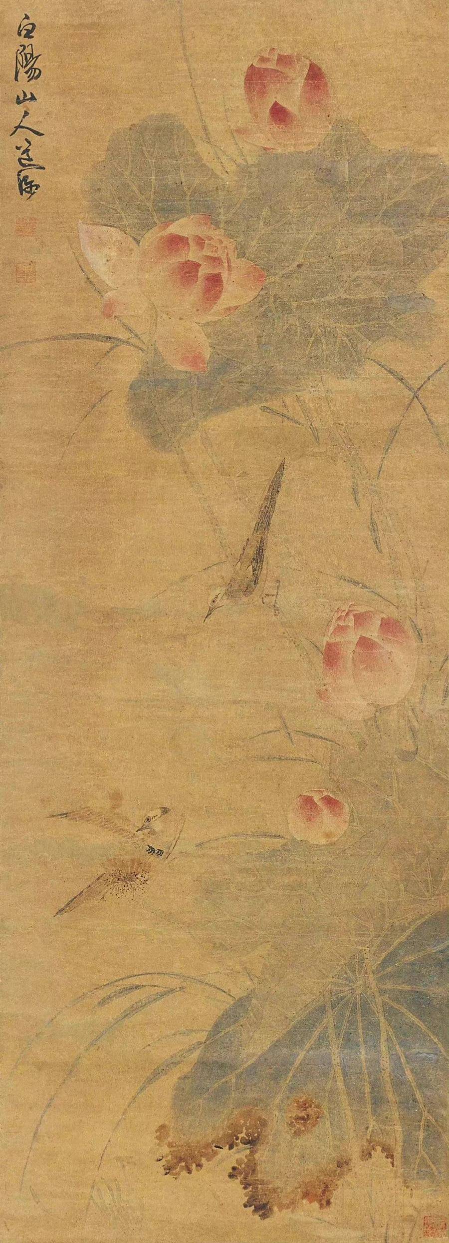 鉴赏|陈淳花鸟画:隽雅出尘
