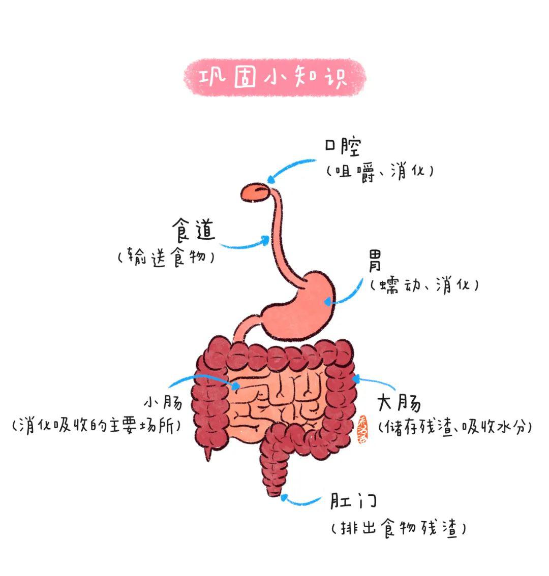 食物的旅行绘本ppt图片