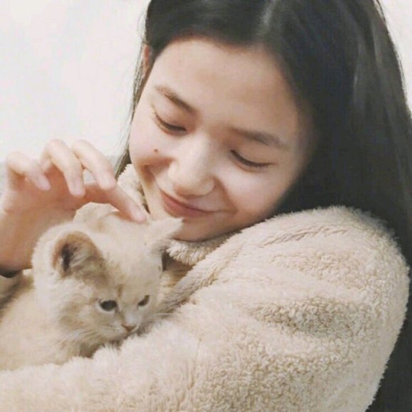 《丫头,我错了,别躲了,好不好傅云祁黎洛》未删减全文免费阅读