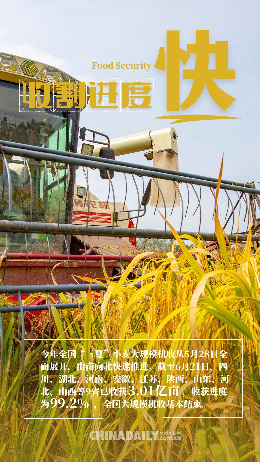 「海报」颗粒归仓好"丰"景,端稳中国饭碗底气足!