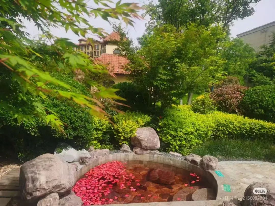 降温冻到抖?临沂这几处温泉一秒暖透