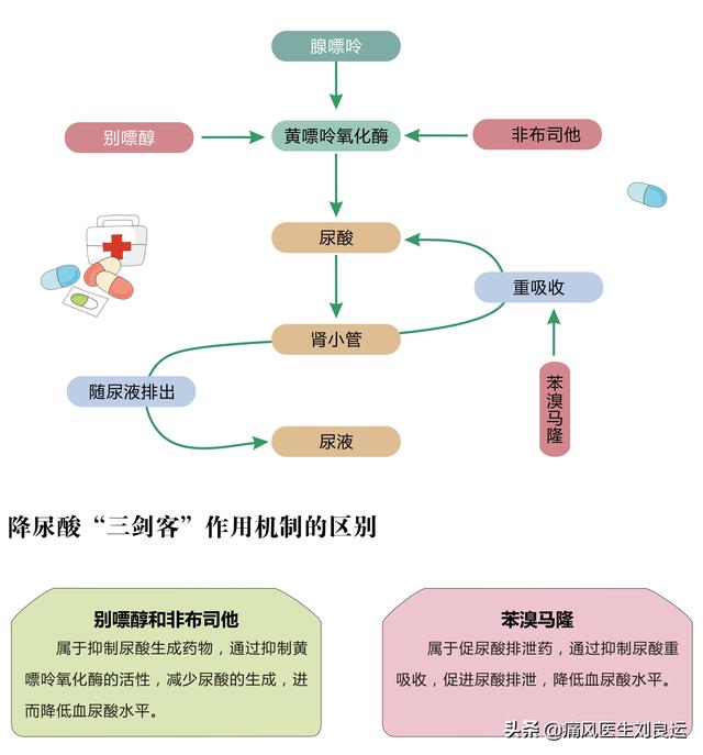 三大降尿酸药物的作用机制