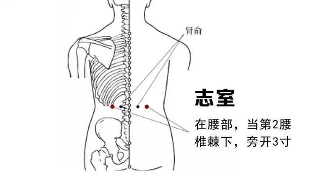 神奇志室穴