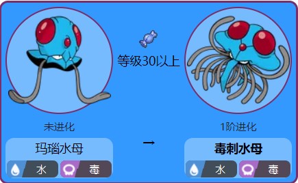 毒刺水母各个世代的配招