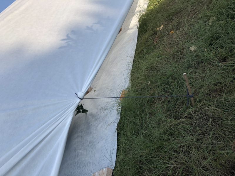 什么是防寒布,防寒布到底有什么作用?