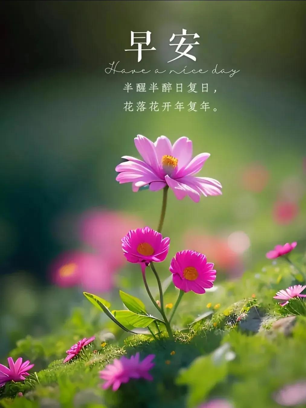 早安语录正能量的句子励志的句子(早安语录正能量短句句子大全)
