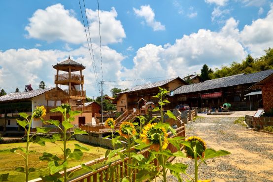 为了百姓心中那份脆甜——重庆市委宣传部帮扶集团驻石柱桥头镇工作队