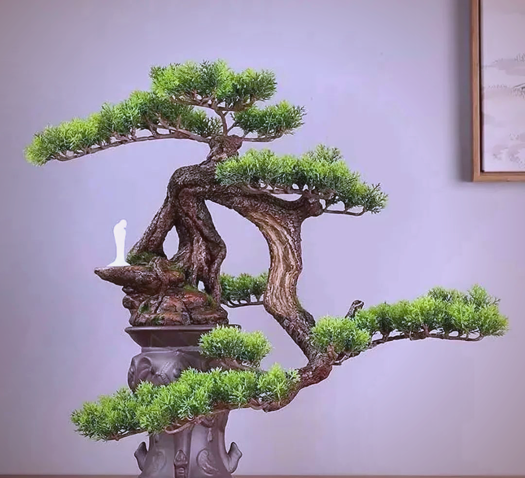 悬崖盆景的多样造型:探索"捞月式"的灵动之美