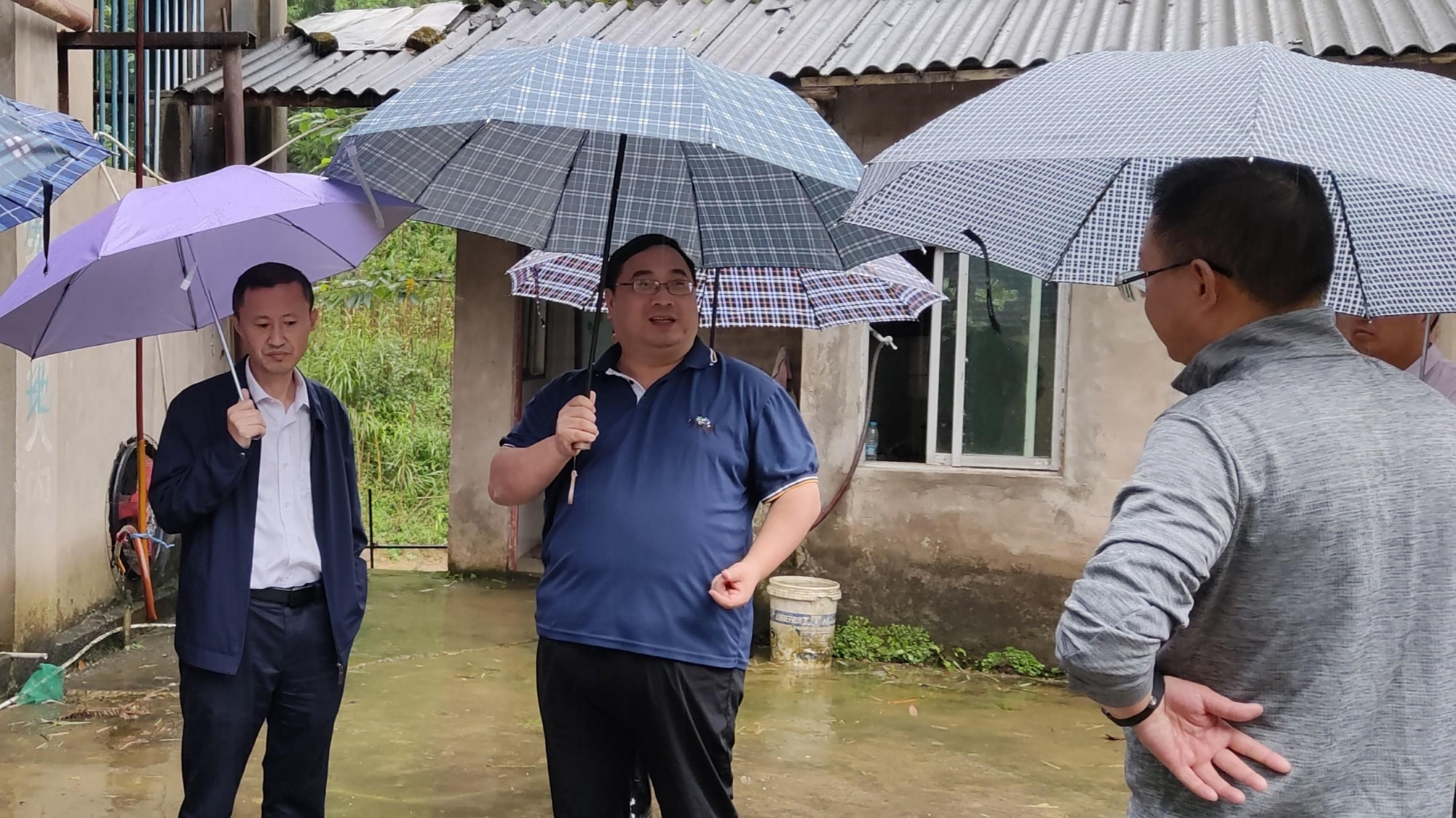 朱小龙带队检查涉林环保问题整改情况