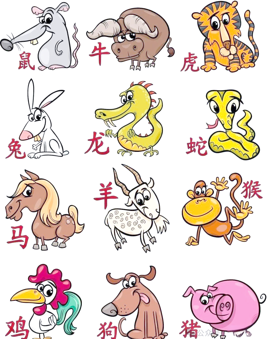 十二生肖哪天出生运势最好(十二生肖出生在哪月吉)