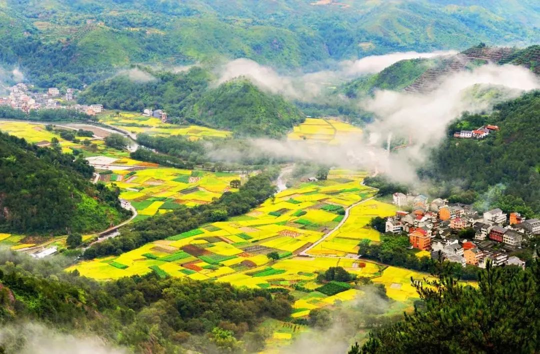 千年古县永嘉,实是欲界之仙都!一座被外界低估的浙南古城!