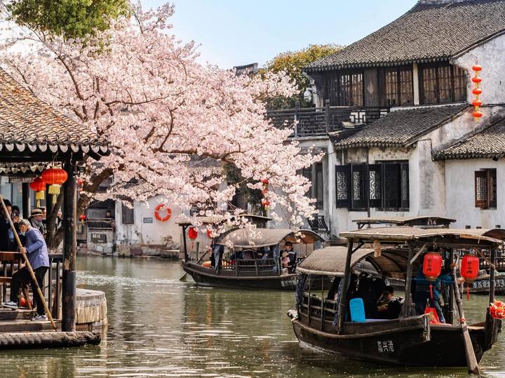 直播预告|古画"穿越"进古镇,请你沉浸式感受西塘的春