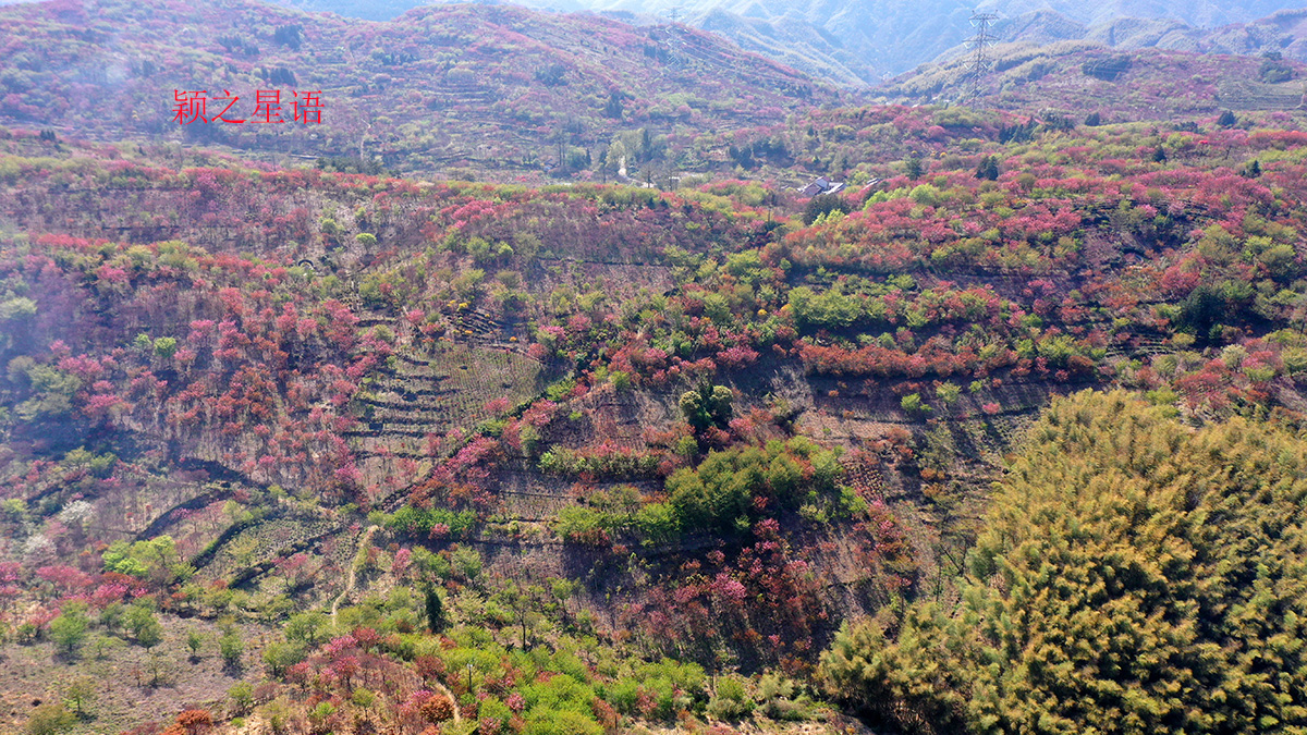 宁波横溪古道图片