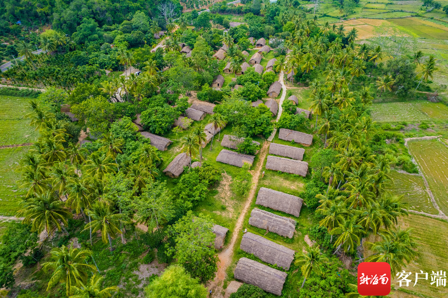 组图丨海南东方白查村 黎族传统民居"活化石"