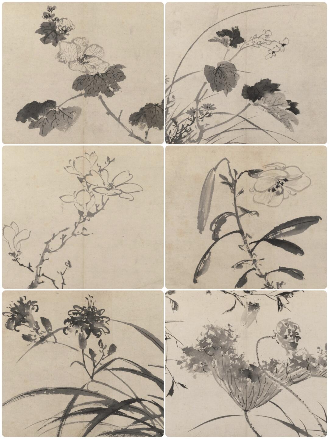 明代陈淳《花卉册》白菜入画早杜尚400年艺术下沉的东方智慧