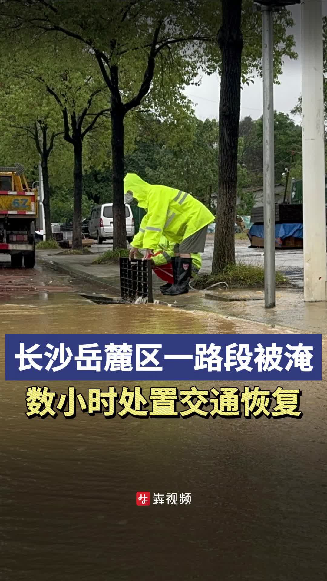 长沙岳麓区岳华路图片