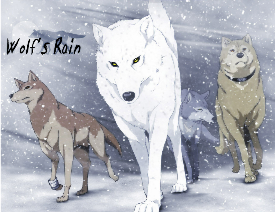 在狼群家庭里,低级狼没有交配权,如何繁殖自己的后代?