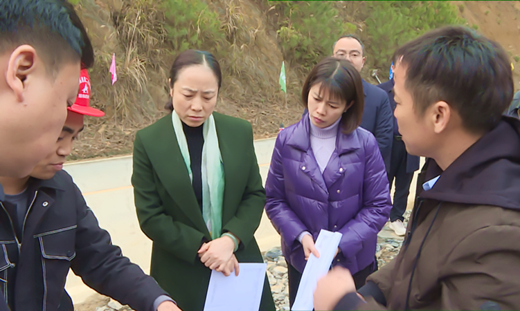 仇珂静到城步督导城龙高速项目建设工作