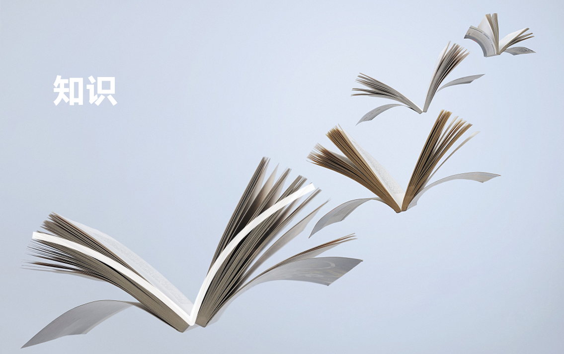 博学求新,智慧南门——南门中学校园视觉文化,环境文化建设方案