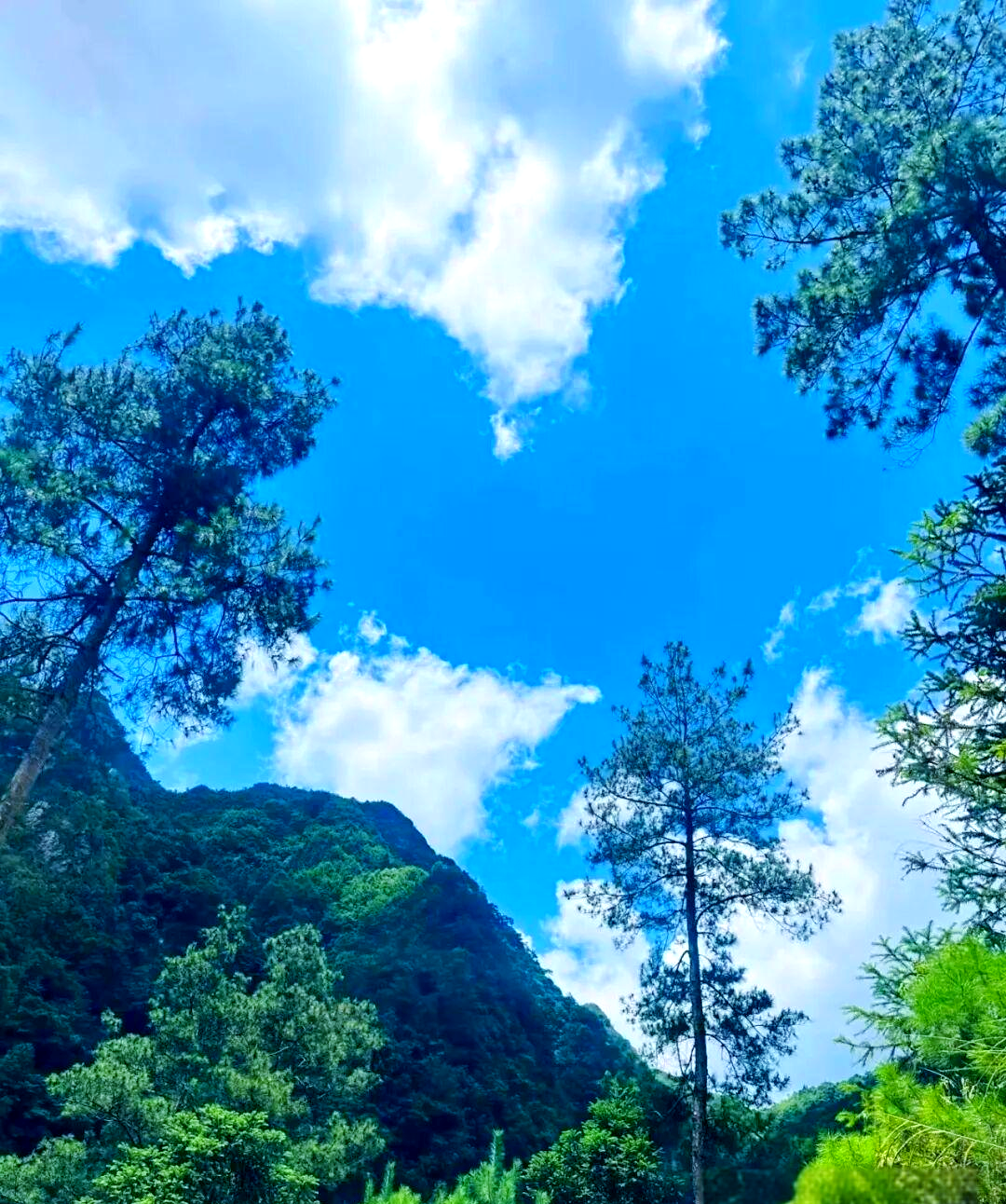 探索都匀团山:秘境传说与溯溪探险全攻略