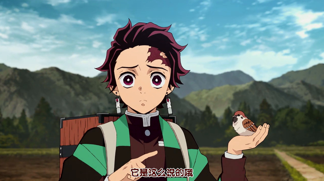 鬼灭之刃:为什么连麻雀都嫌弃我妻善逸?